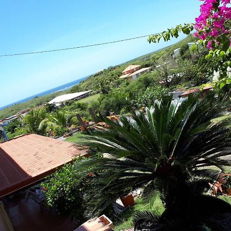 Appartement Vacances Goyave Cap Chevalier Zewnętrze zdjęcie