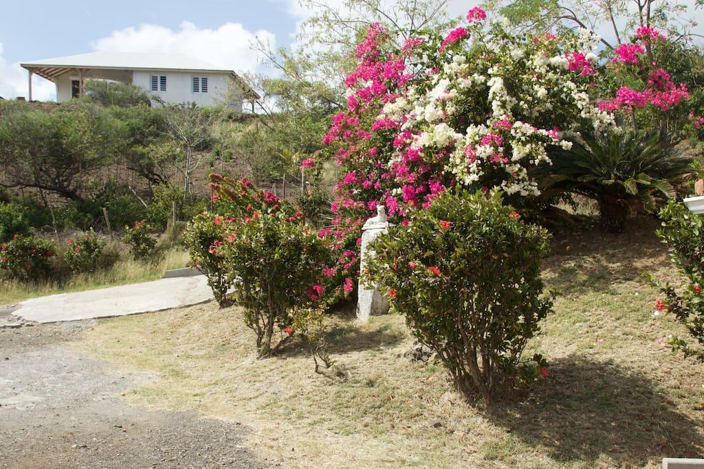 Appartement Vacances Goyave Cap Chevalier Zewnętrze zdjęcie